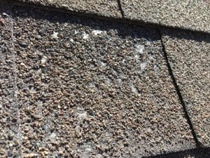 fibers exposed and missing granules on asphalt roofing shingles