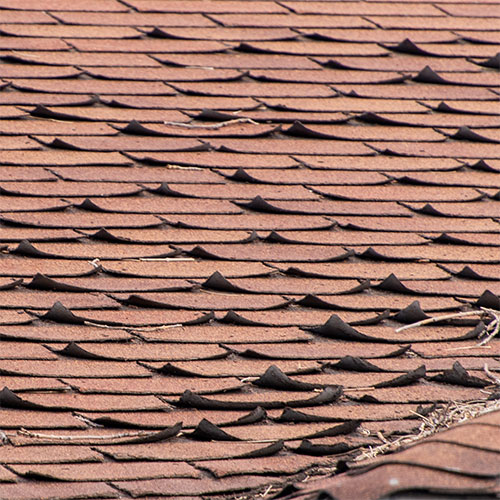 close-up of curling asphalt shingles on roof