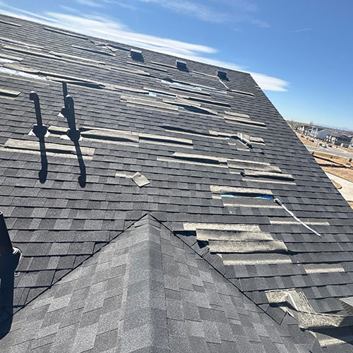 excessive wind damage to shingle roof in fort collins colorado