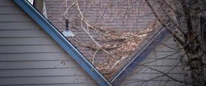 fallen tree branches on roof of house
