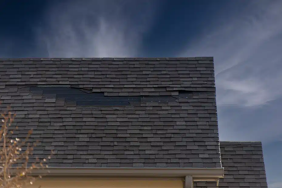 a wind damaged shingle roof in fort collins co