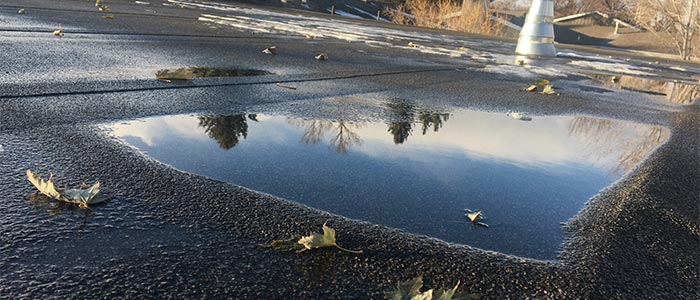 photo of water pooling on a flat roof