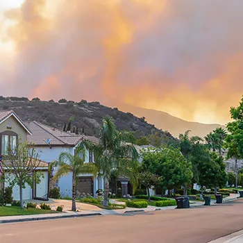 Best Wildfire Resistant Roof