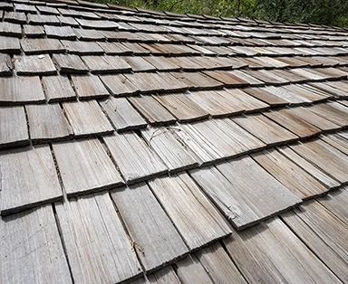 The Most Eco-Friendly Roof